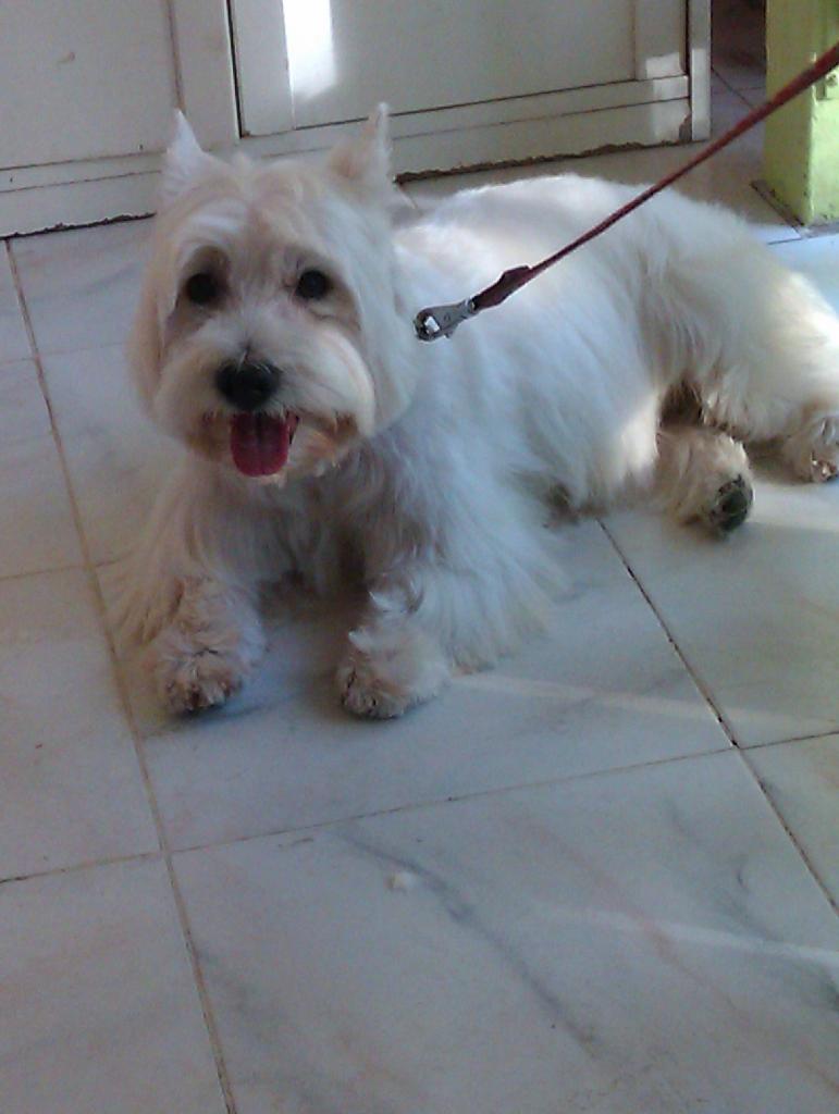 IMAG0029[1]
