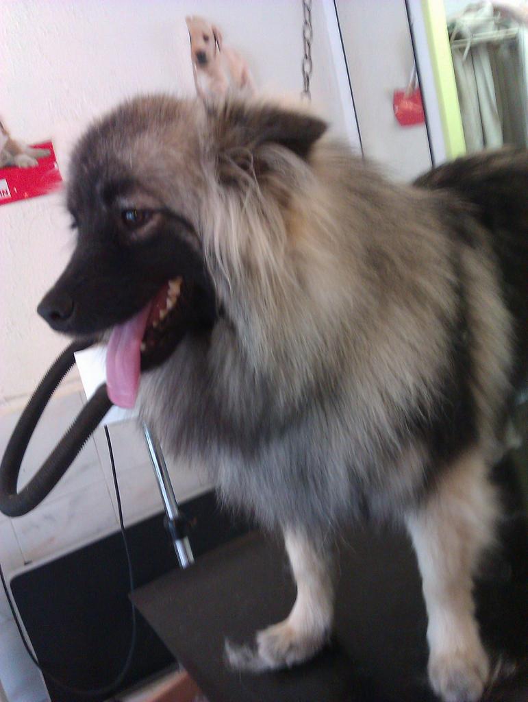 IMAG0045[1]